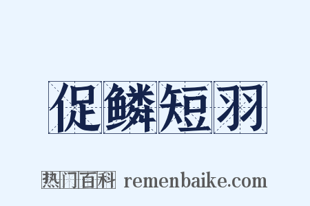 促鳞短羽是什么意思的图片